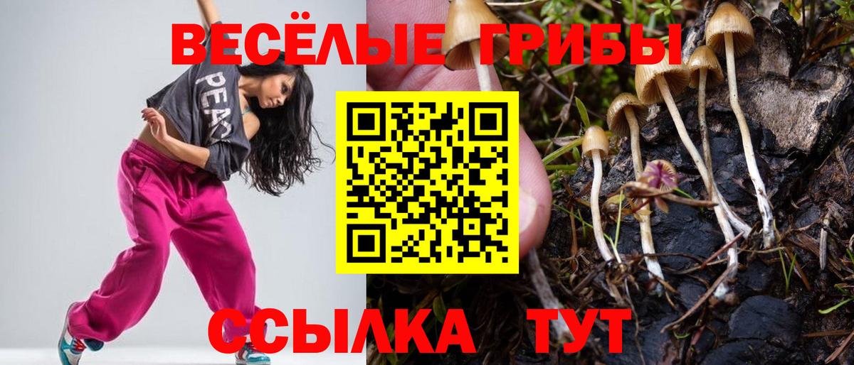 Галлюциногенные грибы Magic Shrooms  Псилоцибиновые грибы Magic Shrooms  Шали  Вход с VPN 